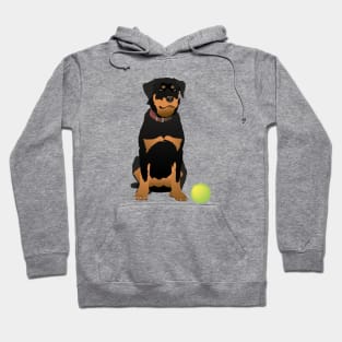 Friendly Rottweiler with Green Ball Hoodie